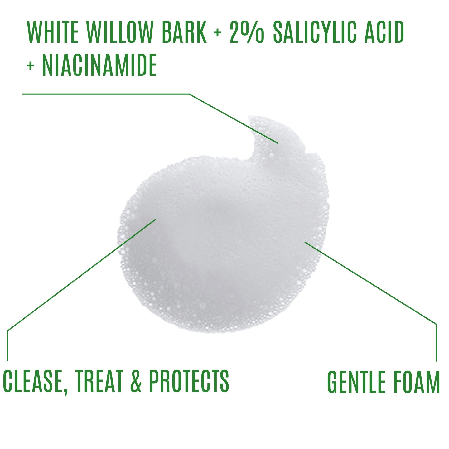 3 in 1 White Willow Bark pH 5.5 Foam Facial Cleanser