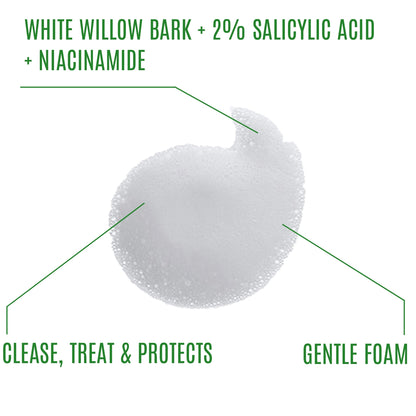 3 in 1 White Willow Bark pH 5.5 Foam Facial Cleanser