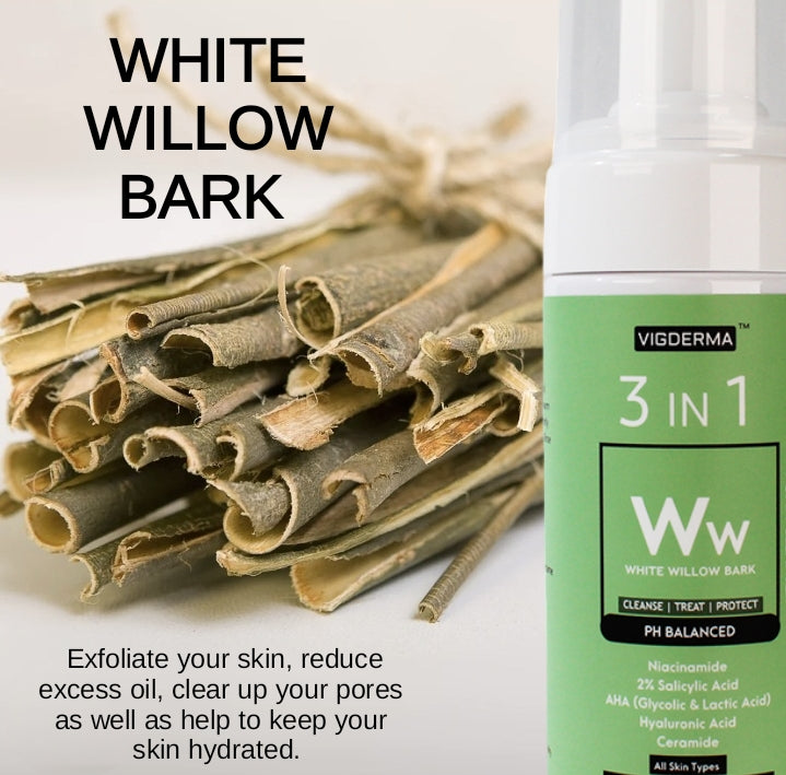 3 in 1 White Willow Bark pH 5.5 Foam Facial Cleanser